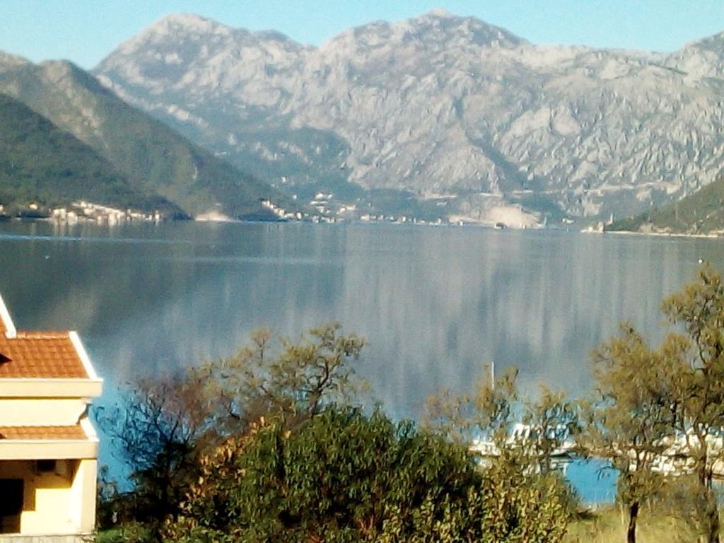 Villa Adriatic Kotor Extérieur photo